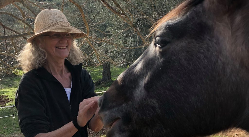 caroline @ living with horses in greece