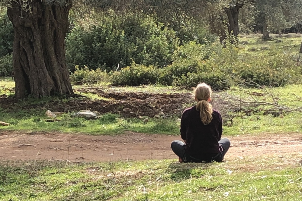 meditating with horses in Pelion, Greece