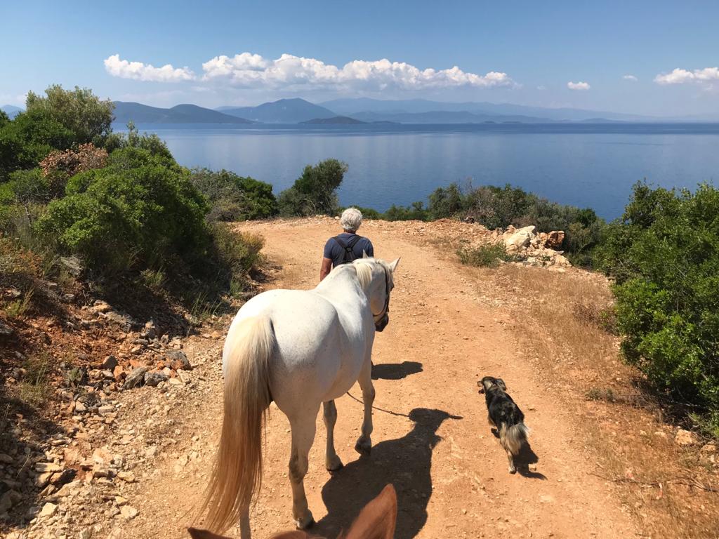 walking with horses in Pelion, Greece